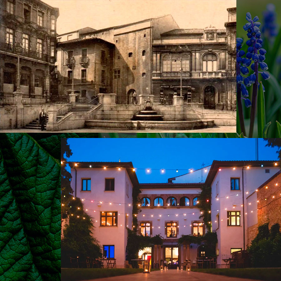 Varsovia_jardin